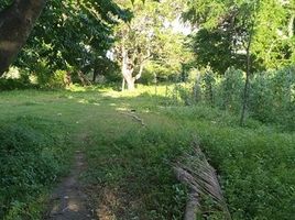  Land for sale in Calatagan, Batangas, Calatagan