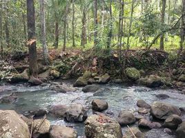  Land for sale in Tabanan Bali, Selemadeg