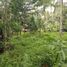  Land for sale in Tabanan Bali, Selemadeg