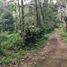  Land for sale in Tabanan Bali, Selemadeg