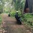  Land for sale in Tabanan Bali, Selemadeg