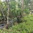  Land for sale in Tabanan Bali, Selemadeg