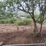  Land for sale in Abasolo, Guanajuato, Abasolo