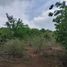  Land for sale in Abasolo, Guanajuato, Abasolo