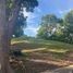 Land for sale in Muntinlupa City, Metro Manila, Muntinlupa City
