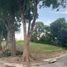 Land for sale in Muntinlupa City, Metro Manila, Muntinlupa City
