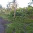  Land for sale in Dauin, Negros Island Region, Dauin