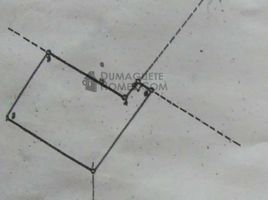  Land for sale in Dauin, Negros Island Region, Dauin