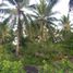  Land for sale in Dauin, Negros Island Region, Dauin