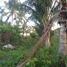  Land for sale in Dauin, Negros Island Region, Dauin