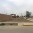  Grundstück zu verkaufen in Carabayllo, Lima, Carabayllo, Lima, Lima