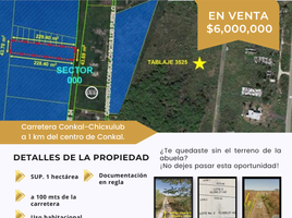  Grundstück zu verkaufen in Conkal, Yucatan, Conkal