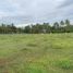  Land for sale in Northern Mindanao, Laguindingan, Misamis Oriental, Northern Mindanao