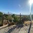  Land for sale in Chile, Calle Larga, Los Andes, Valparaiso, Chile