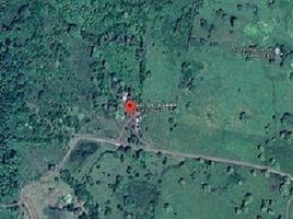  Land for sale in Tlalixcoyan, Veracruz, Tlalixcoyan