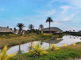  Terreno (Parcela) en venta en Chincha, Ica, El Carmen, Chincha