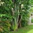 2 Bedroom Villa for sale in Cebu City, Central Visayas, Cebu City