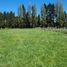  Terreno (Parcela) en venta en Los Ríos, Mariquina, Valdivia, Los Ríos