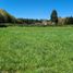 Terreno (Parcela) en venta en Los Ríos, Mariquina, Valdivia, Los Ríos