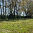  Terreno (Parcela) en venta en Los Ríos, Mariquina, Valdivia, Los Ríos