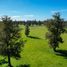  Terreno (Parcela) en venta en Chile, Osorno, Osorno, Los Lagos, Chile