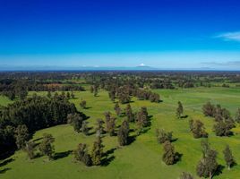  Terreno (Parcela) en venta en Chile, Osorno, Osorno, Los Lagos, Chile