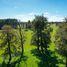  Terreno (Parcela) en venta en Chile, Osorno, Osorno, Los Lagos, Chile