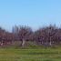  Terreno (Parcela) en venta en Chile, Linares, Linares, Maule, Chile