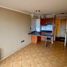 1 Bedroom Apartment for rent in Feria Pinto, Cautin, Temuco, Cautin