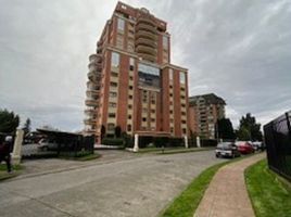 4 chambre Appartement for sale in Chili, Nueva Imperial, Cautin, Araucania, Chili