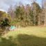  Terreno (Parcela) en venta en Chile, Villarrica, Cautín, Araucanía, Chile