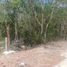Terrain à vendre à Cozumel, Quintana Roo, Cozumel