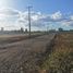  Terreno (Parcela) en venta en Maule, Longavi, Linares, Maule