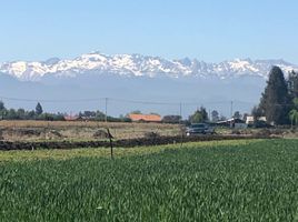  Terreno (Parcela) en venta en Maule, Longavi, Linares, Maule