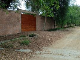  Grundstück zu verkaufen in Mala, Lima, Mala
