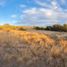  Land for sale in Hermosillo, Sonora, Hermosillo, Sonora