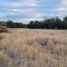  Land for sale in Hermosillo, Sonora, Hermosillo, Sonora