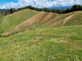 3 Habitación Villa en venta en El Santuario, Antioquia, El Santuario