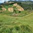 3 Habitación Casa en venta en El Santuario, Antioquia, El Santuario