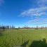  Terreno (Parcela) en venta en Los Lagos, Puerto Octay, Osorno, Los Lagos