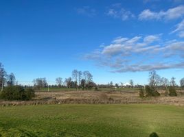  Terreno (Parcela) en venta en Los Lagos, Puerto Octay, Osorno, Los Lagos