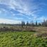  Terreno (Parcela) en venta en Los Lagos, Puerto Octay, Osorno, Los Lagos