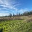  Terreno (Parcela) en venta en Los Lagos, Puerto Octay, Osorno, Los Lagos