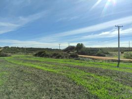  Terreno (Parcela) en venta en Chile, Litueche, Cardenal Caro, Libertador General Bernardo O'Higgins, Chile