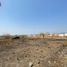  Land for sale in Tlayacapan, Morelos, Tlayacapan