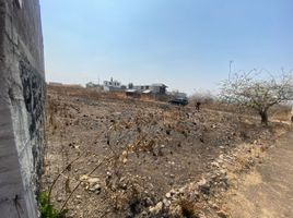  Land for sale in Tlayacapan, Morelos, Tlayacapan