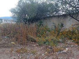  Grundstück zu verkaufen in Tehuacan, Puebla, Tehuacan
