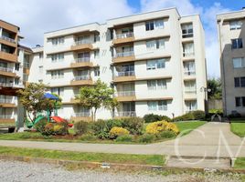 3 chambre Appartement for rent in Los Rios, Mariquina, Valdivia, Los Rios