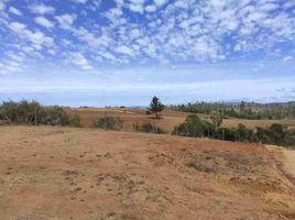  Terreno (Parcela) en venta en Cardenal Caro, Libertador General Bernardo O'Higgins, Litueche, Cardenal Caro