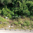  Land for sale in Palawan Mimaropa, Coron